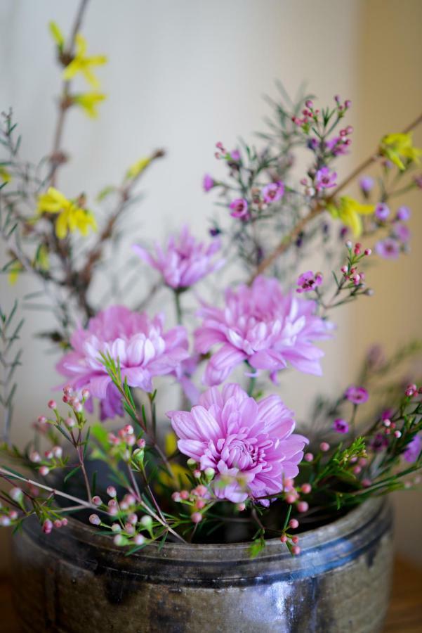 Briar Rose Bed & Breakfast โบลเดอร์ ภายนอก รูปภาพ