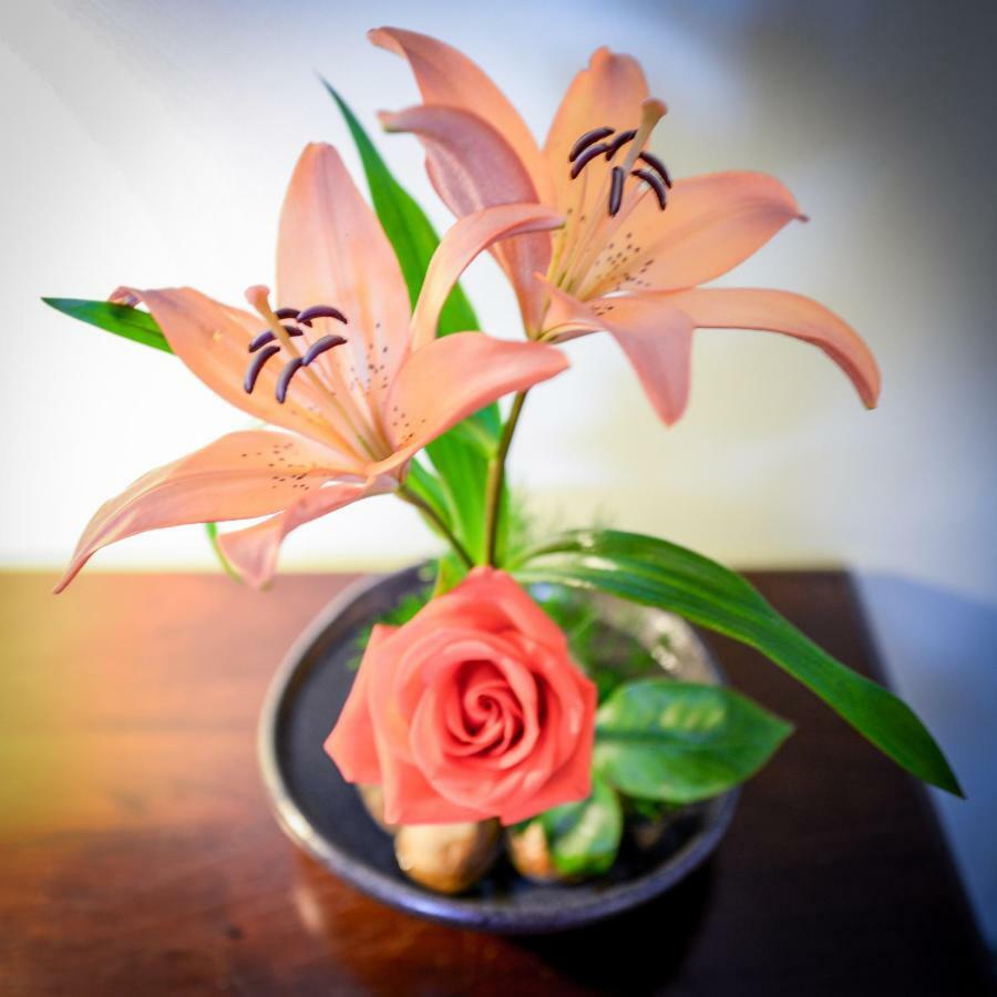 Briar Rose Bed & Breakfast โบลเดอร์ ภายนอก รูปภาพ